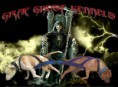 GRAY GHOST KENNELS